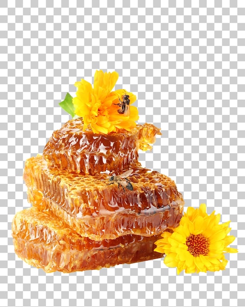 Delizia del nido d'ape