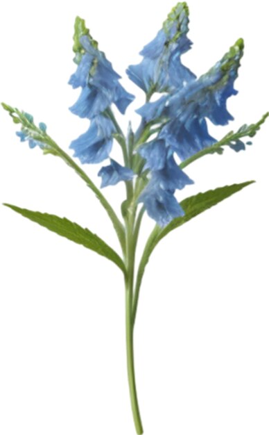 PSD delphinium-klipart ein süßes delphiniumblumen-ikon