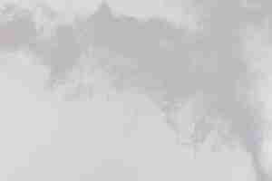 PSD densas bocanadas esponjosas de humo blanco y niebla en png transparente fondo movimiento de nubes de humo abstracto borroso fuera de foco golpes humeantes de la máquina mosca de hielo seco revoloteando en textura de efecto de aire