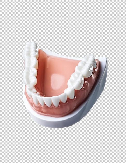une dent avec des dents sur elle est affichée sur un papier