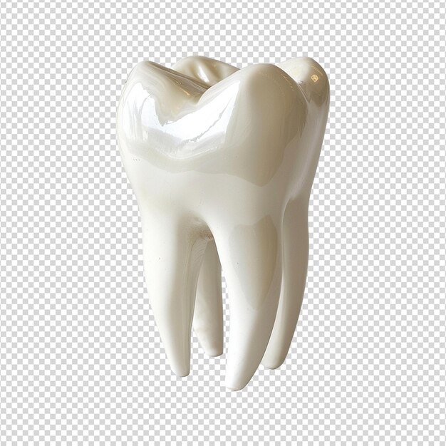 Dente isolado em fundo transparente png