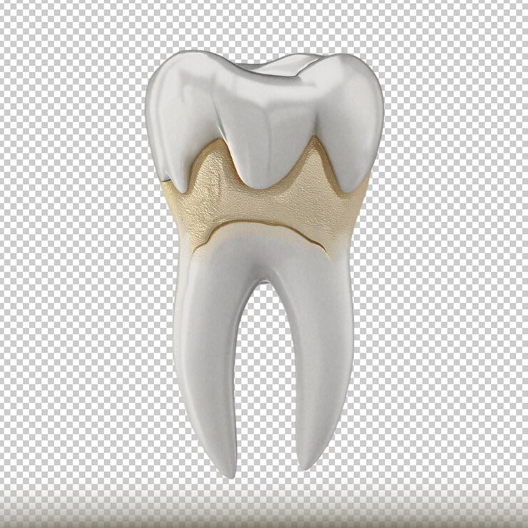 PSD dente molar humano aislado sobre un fondo transparente
