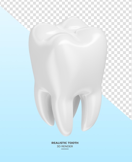 Dente realista em renderização 3D com fundo transparente