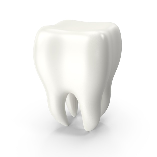 Dente umano sano