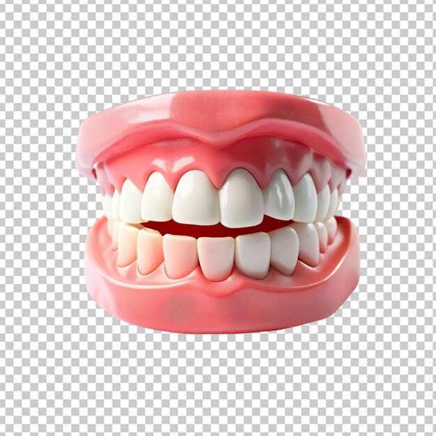 PSD des dents humaines en 3d