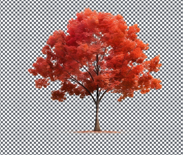 Der herrliche Herbst belebt isoliert auf transparentem Hintergrund