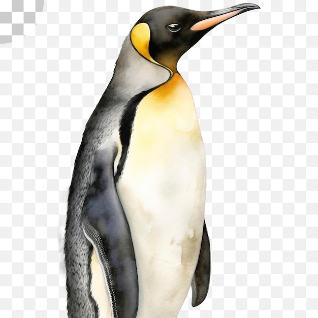 Der pinguin-pinguin - pinguin-png-download