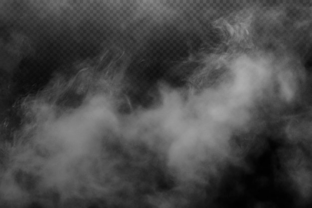Descripción realista de un espeso humo o niebla ondulante con un fondo transparente
