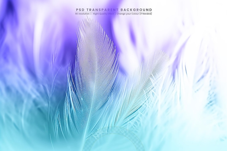 PSD desdibujar la textura de las plumas de los pollos en un fondo transparente