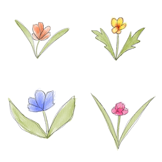 PSD desenho de flores coloridas diferentes feitas com aquarela
