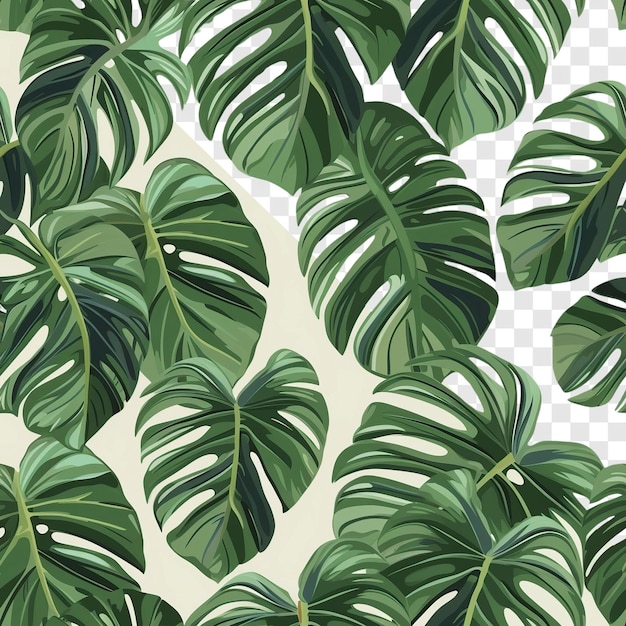 Desenho de fundo abstrato de folha de monstera tropical