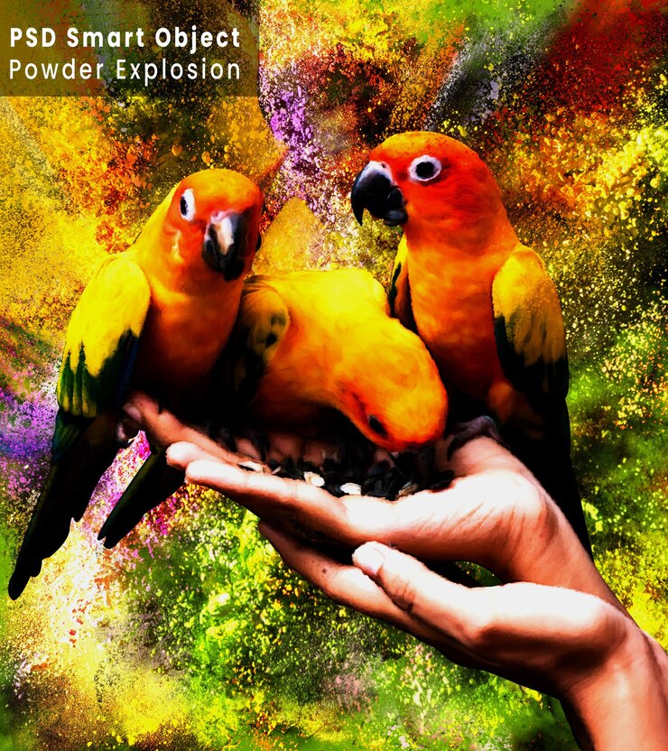PSD desenho de modelo psd de efeito fotográfico de explosão de pólvora