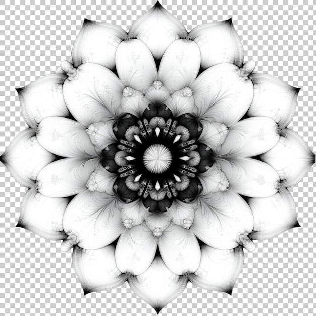 Design artistique complexe et coloré du mandala à fleurs