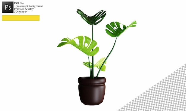 Design de decoração de plantas 3d