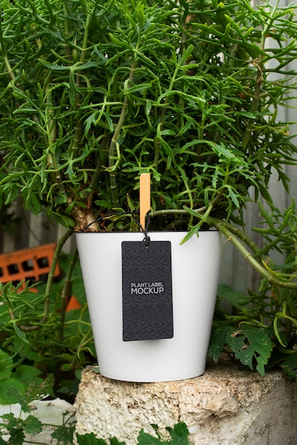 Design de maquete de rótulo de planta