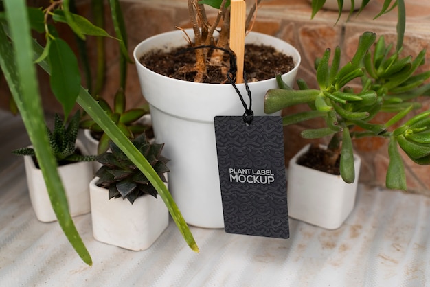 Design de maquete de rótulo de planta
