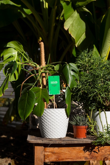 Design de maquete de rótulo de planta