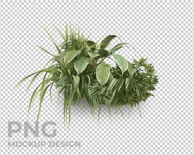 Design de maquete isolado de folhas de palmeira tropical