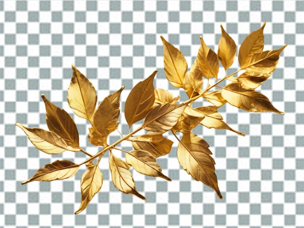 PSD design mit goldenen federn