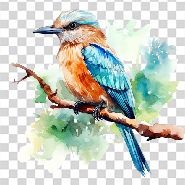 Dessin à L'aquarelle D'un Beau Oiseau Sur Une Branche D'arbre Png Transparent