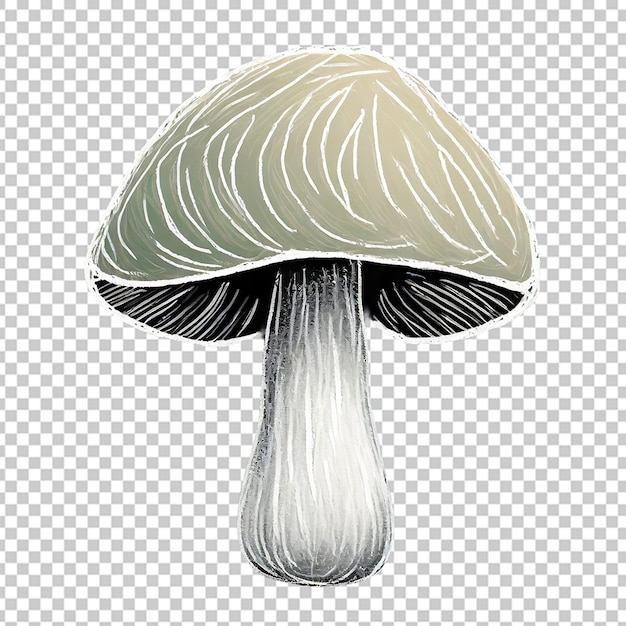 Le Dessin Des Champignons