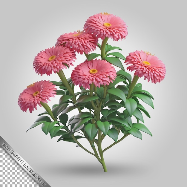 PSD un dessin d'une fleur rose avec le mot chrysanthème dessus