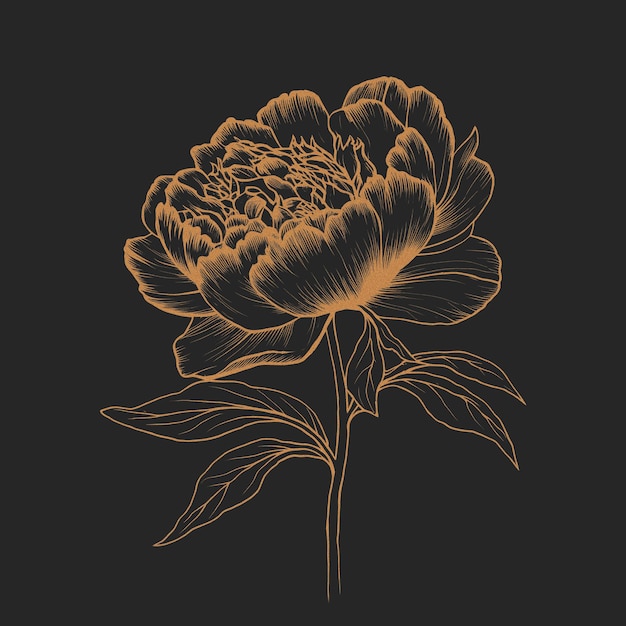 Un dessin floral artistique d'une fleur de pioie
