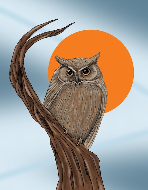 dessin PSD en couches d'un hibou avec un cercle orange en arrière-plan