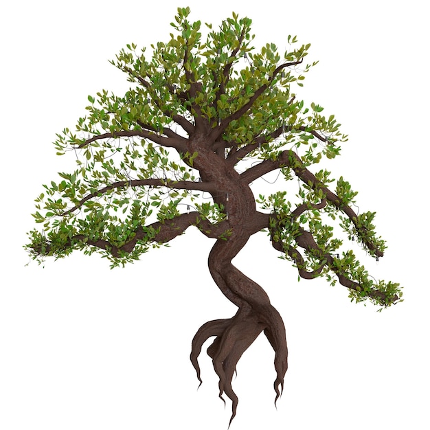 A Detailed Render of an Artistic Bonsai Tree