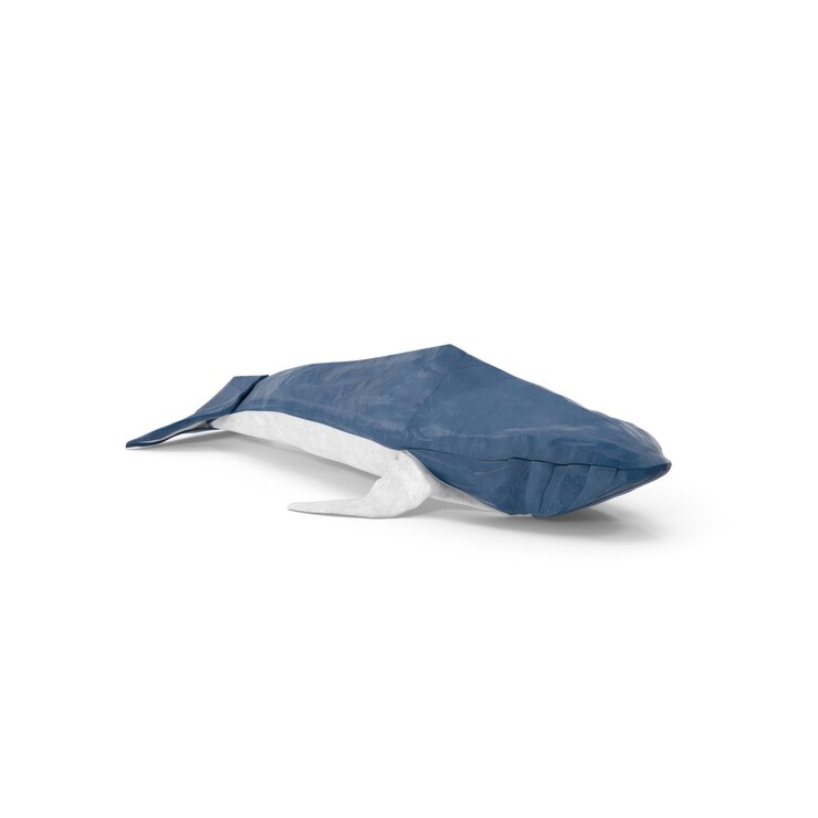 PSD detallado archivo psd de la ballena de papel exquisito modelo marino para uso educativo y decorativo