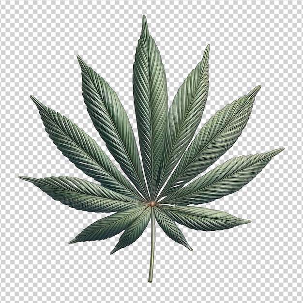 PSD detallado de cannabis bud closeup png