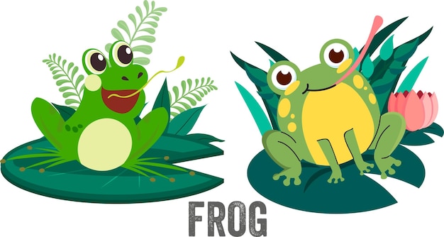Deux adorables grenouilles de dessin animé sur des pattes de lily