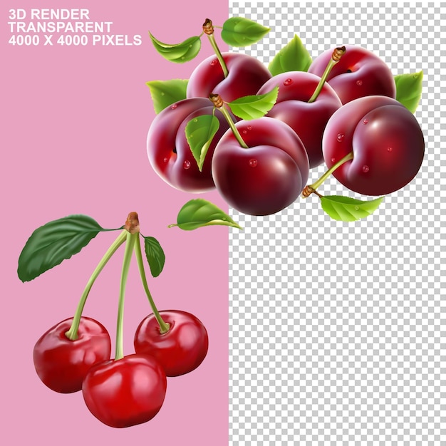 PSD deux cerises cerises sucrées cerises noires cerises acides cerises maraschino cerises cérises aliments naturels fruits