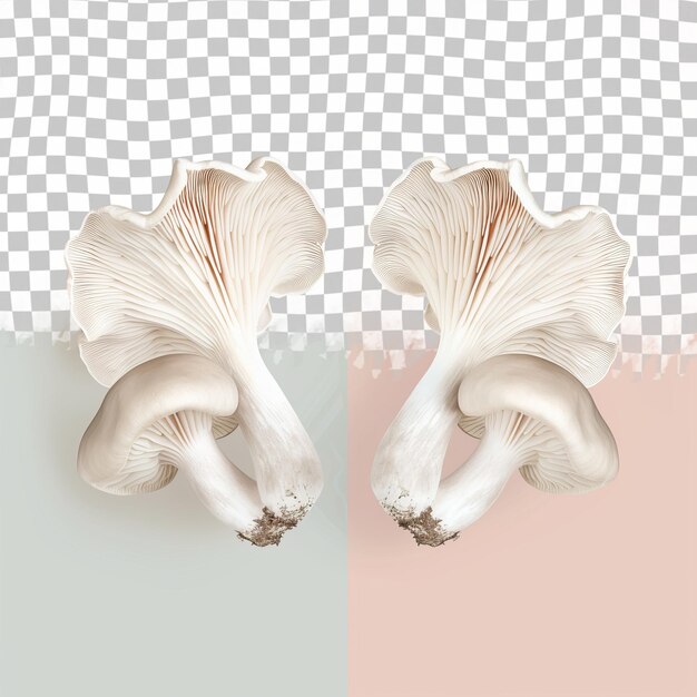 PSD deux images de champignons avec les mêmes couleurs et la même couleur que l'arrière-plan