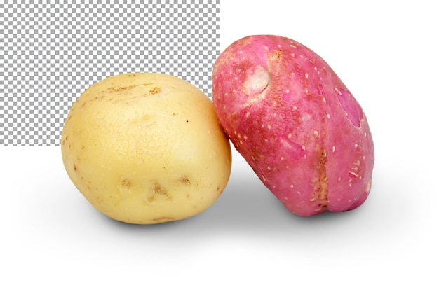 Deux pommes de terre fraîches de différentes variétés de pommes de terre jaunes et roses isolées sur un dos transparent