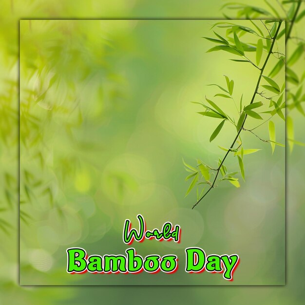 PSD dia mundial do bambu: ramos de bambu com gotas de chuva para design de posts nas redes sociais