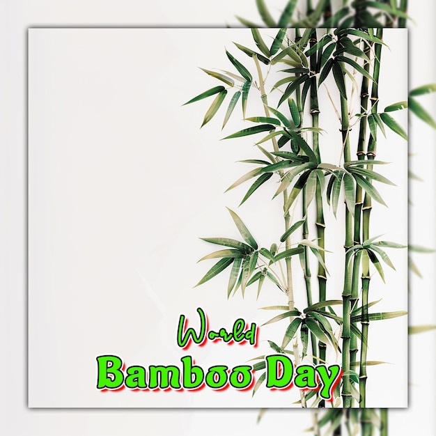 Dia mundial do bambu: ramos de bambu com gotas de chuva para design de posts nas redes sociais