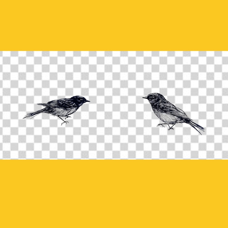 PSD dia nacional das aves