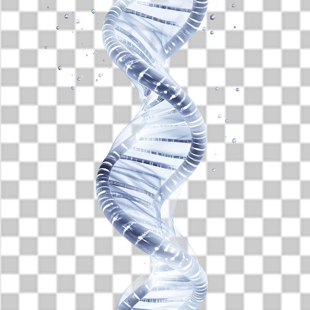Dia Nacional do DNA PSD PNG