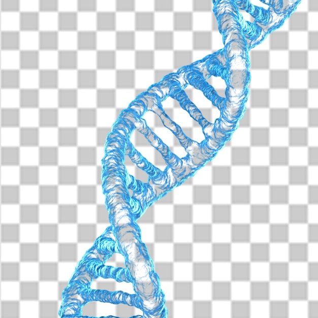 Dia Nacional do DNA PSD PNG