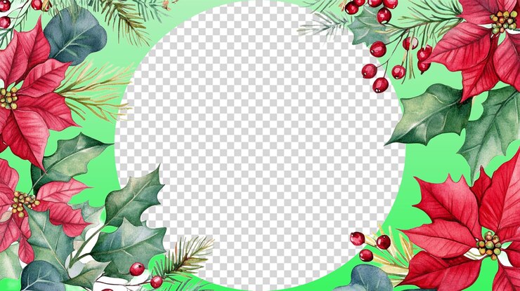 PSD el día de navidad.