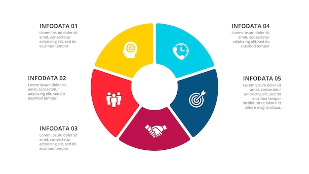 Diagramma circolare diviso in 5 segmenti Concetto di cinque opzioni infografica
