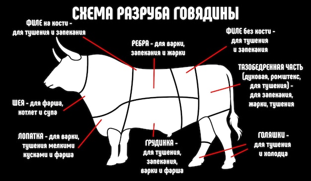 Diagramma dei tagli di manzo in russo
