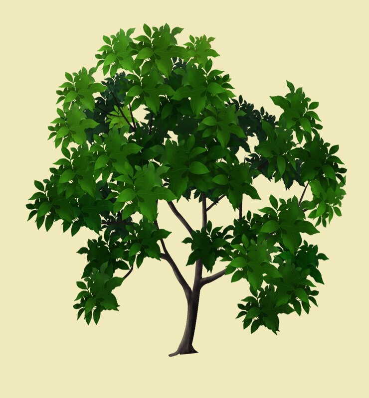 PSD un dibujo de un árbol con hojas y una imagen de un árbol