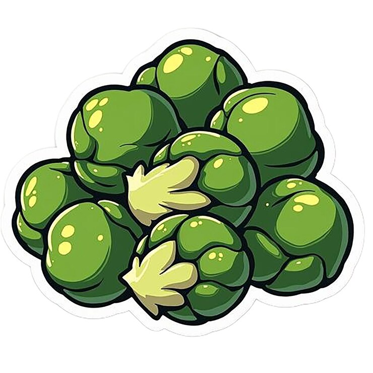 PSD un dibujo de un grupo de coliflores verdes con un dibuja de una planta en él
