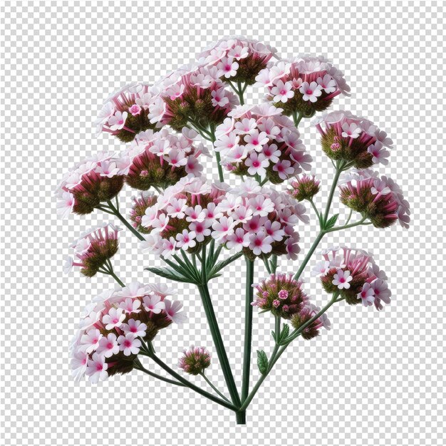 PSD un dibujo de un ramo de flores con las palabras 