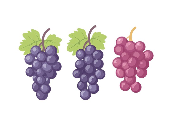 PSD un dibujo de uvas púrpuras con una hoja verde en él