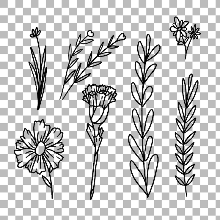 PSD dibujos de flores y plantas en rotulador sakura