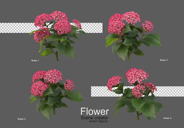 Die Farben verschiedener Blumenarten
