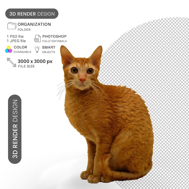 Die Katze schaut auf dich PSD